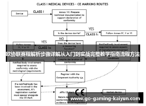 欧协联赛程解析步骤详解从入门到实战完整教学指南流程方法